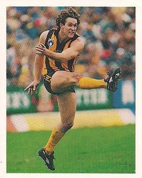 1993 Select AFL Stickers #154 Ben Allan Front